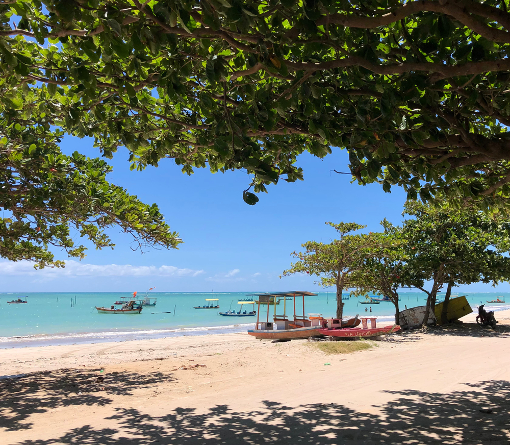 O que fazer em Alagoas pontos turísticos e passeios