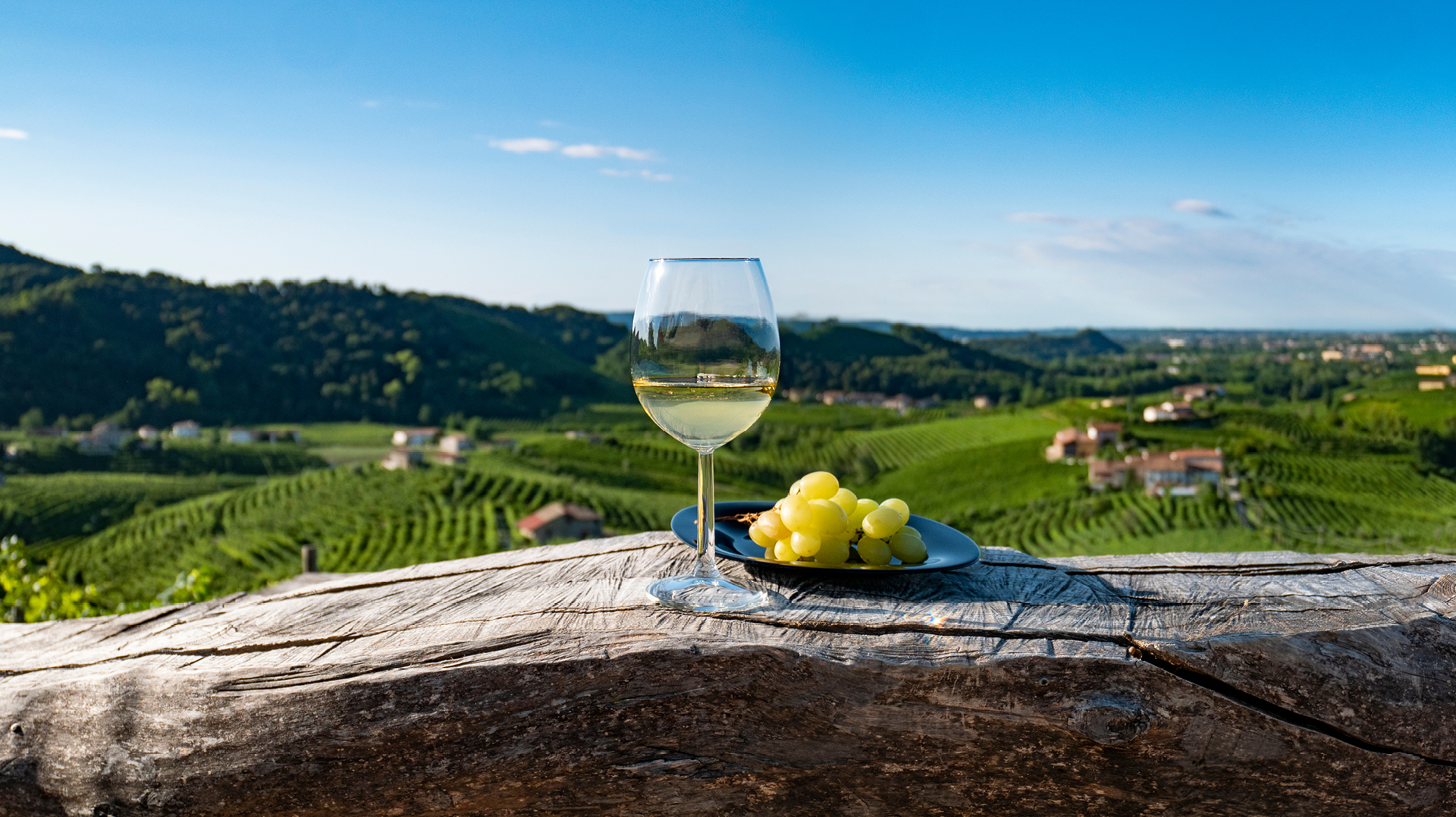 3 destinos para apreciar um bom vinho pelo mundo