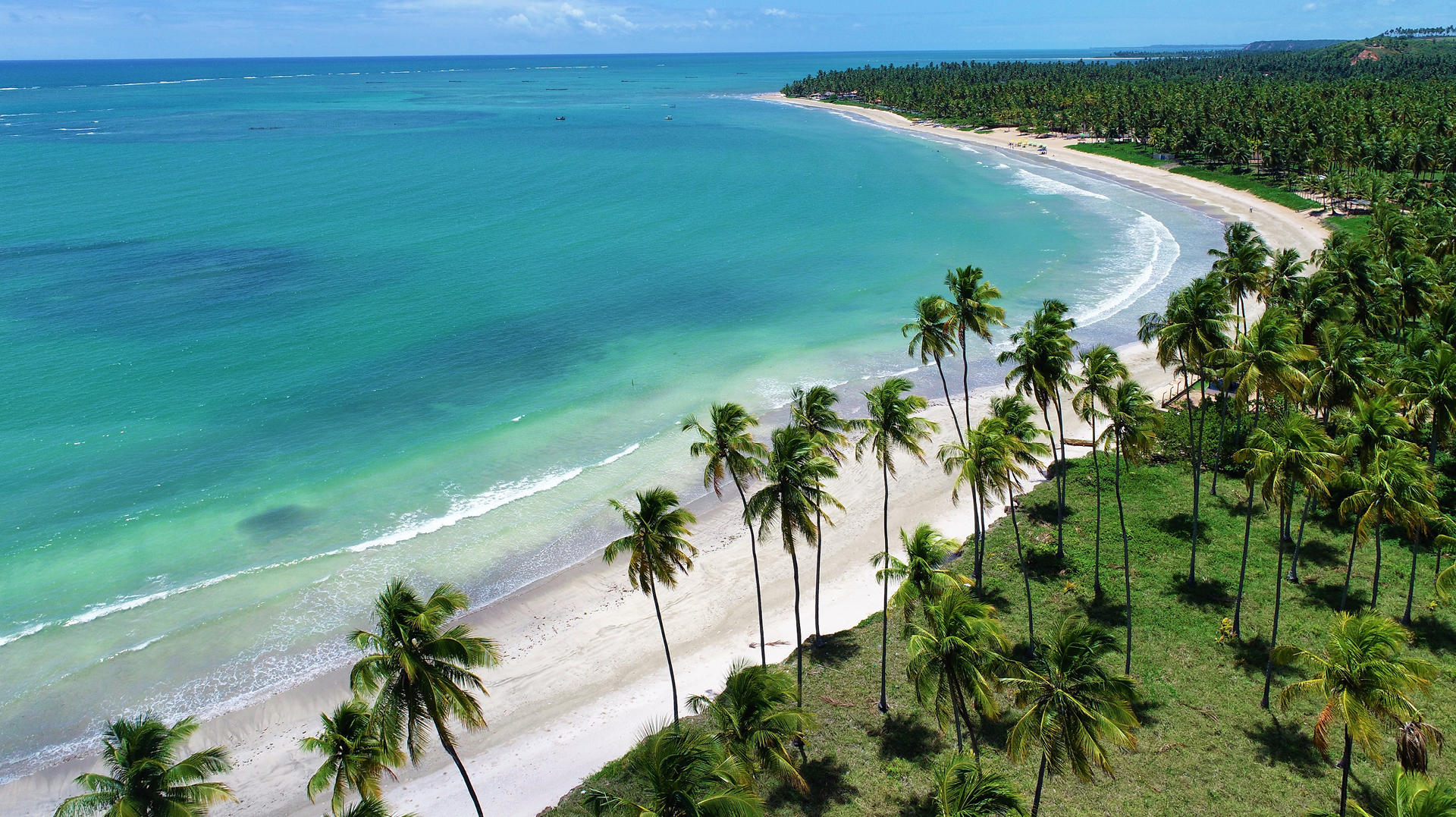 Onde ir em São Miguel dos Milagres: conheça praias encantadoras de Alagoas
