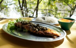 Lugares para Comer em Bonito: Os melhores Restaurantes | Pirarucu com alcaparras | Conexão123