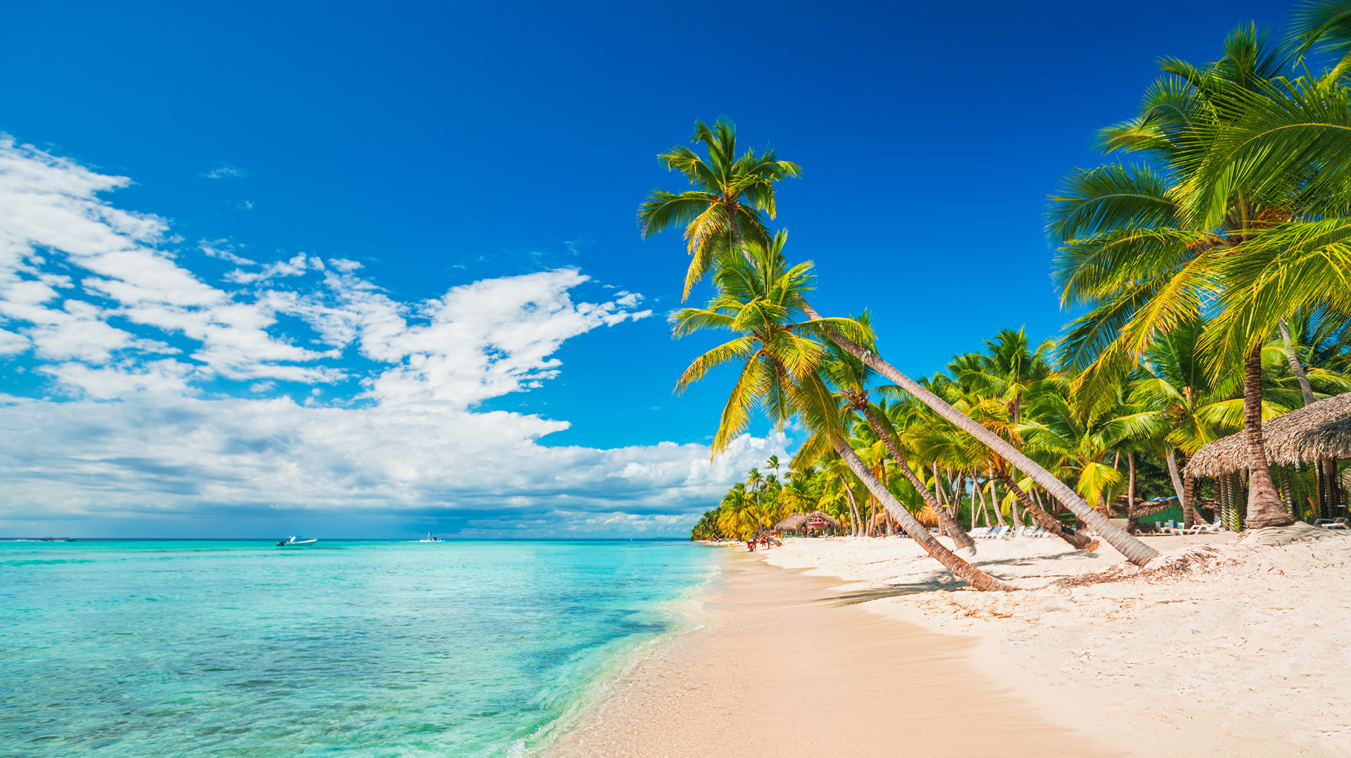 Tudo o que você precisa saber antes de viajar para Punta Cana