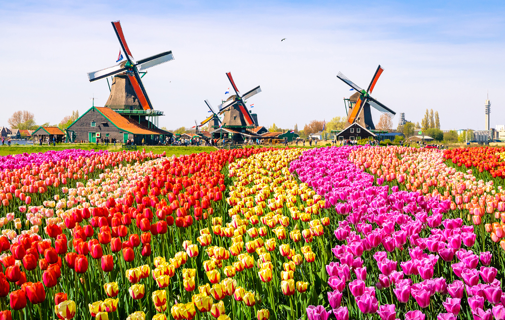 O Jardim de Keukenhof é um dos pontos turísticos mais famosos na primavera da Holanda