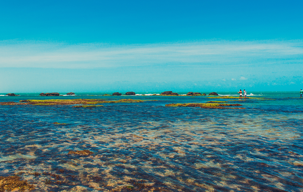 Experimente o banho pelas águas calmas da Praia de Flexeiras e veja muitos corais e algas que colorem a vida marinha nessa região do Ceará