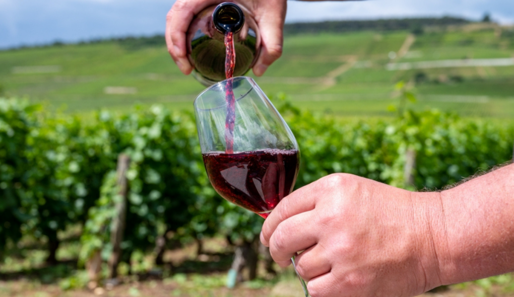 Borgonha sediará novo museu do vinho e da gastronomia