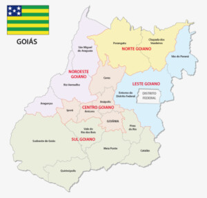 Conheça Goiás: clima, história, cidades e mais | Mapa de Goiás | Conexão123
