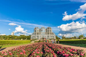 Conheça os mais belos jardins botânicos do Brasil | Flores coloridas | Jardim Botânico de Curitiba | Conexão123