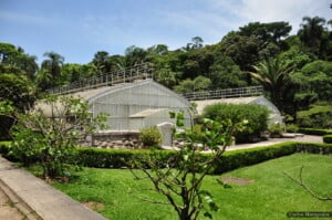 Conheça os mais belos jardins botânicos do Brasil | Flores coloridas | Jardim Botânico de São Paulo | Conexão123