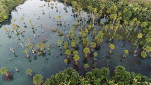  Nobres em Mato Grosso | Vista aérea do lago de Macaws em Nobre | Conexão123