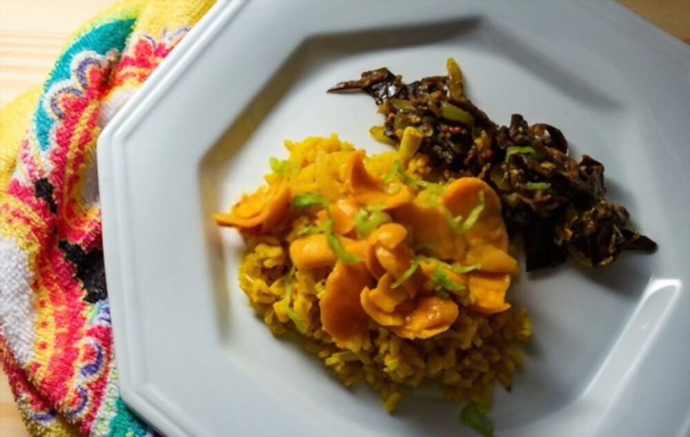 Lugares para comer no Jalapão: os melhores restaurantes