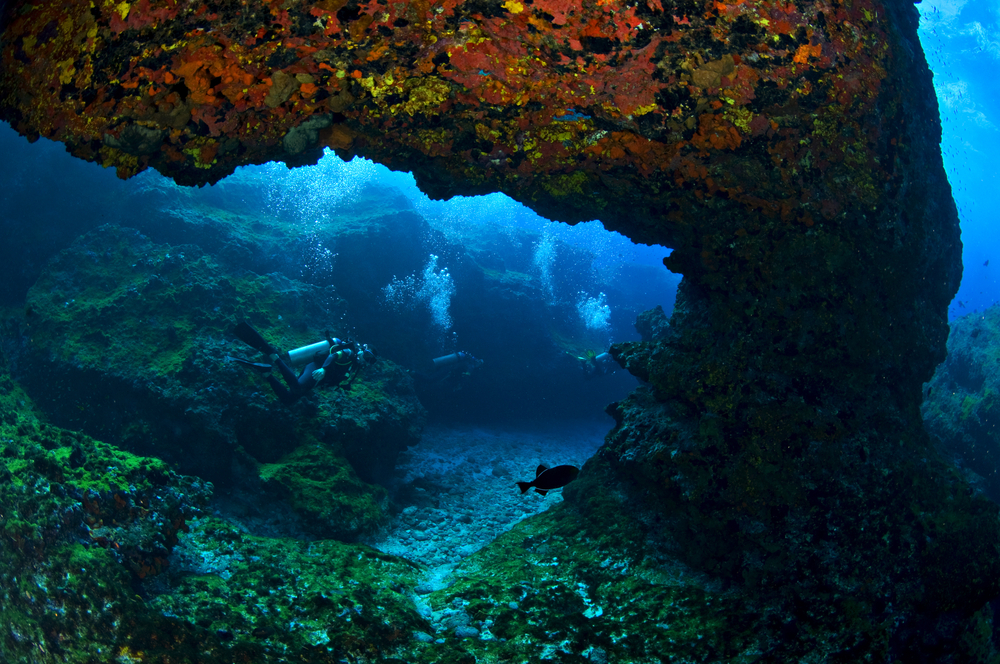  Turismo em Fernando de Noronha: Guia de Viagem |Arco subaquático em Fernando de Noronha | Conexão123