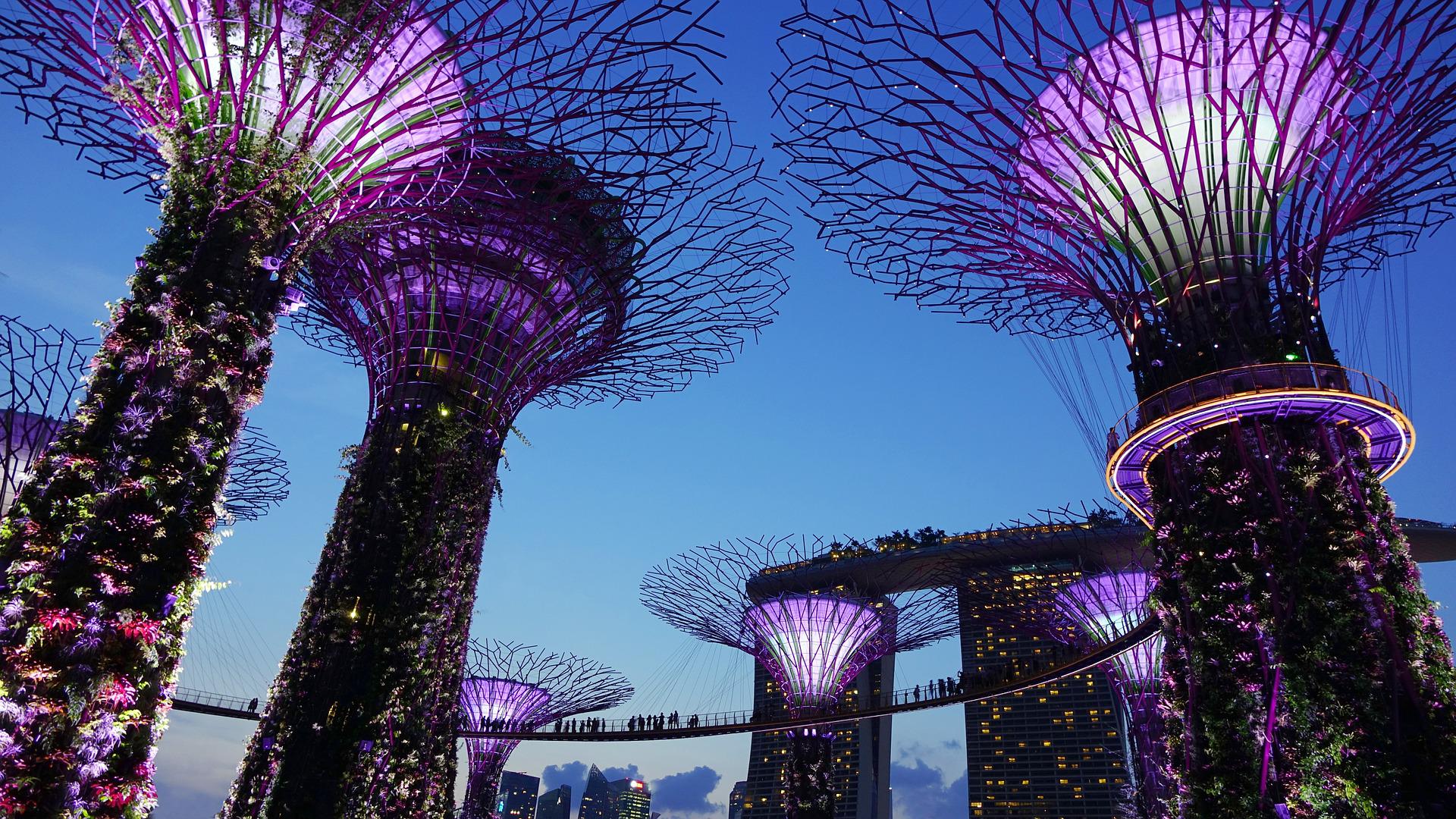 Explore Singapura em sua primeira visita a esta fantástica cidade-estado