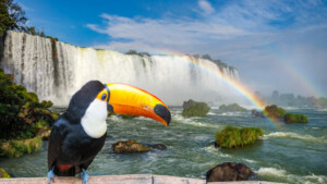 Hoje é o aniversário de Foz do Iguaçu, conheça três curiosidades sobre o destino