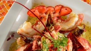 Lugares para Comer em Aracaju (SE): Os melhores Restaurantes| Lagosta, fruto do mar típico da culinária em Aracaju | Conexão123