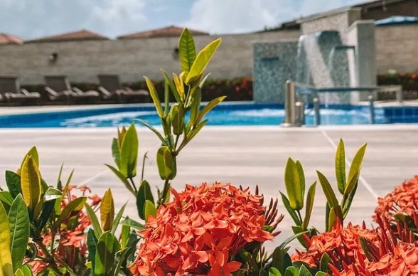 Rede Bem Bahia de hotéis em Porto Seguro oferece valores imperdíveis para uma viagem inesquecível | Hotel Porto Dourado | Conexão123