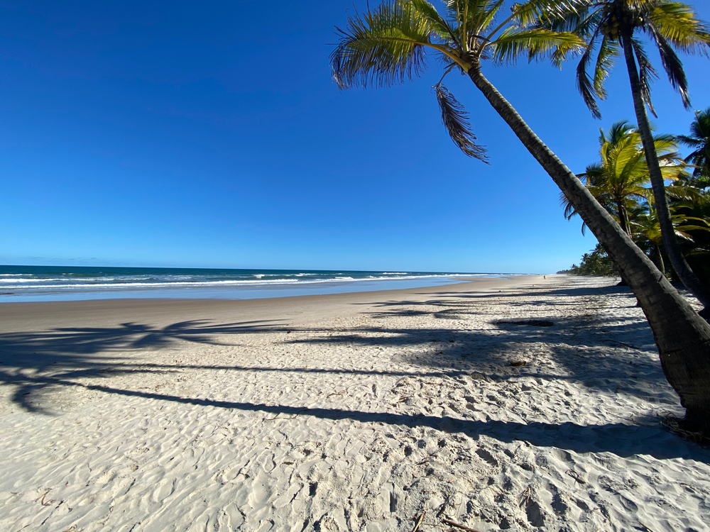 Bahia está entre destinos mais procurados por turistas brasileiros em 2021 | Praia deserta com areia branca e coqueiros | Conexão123