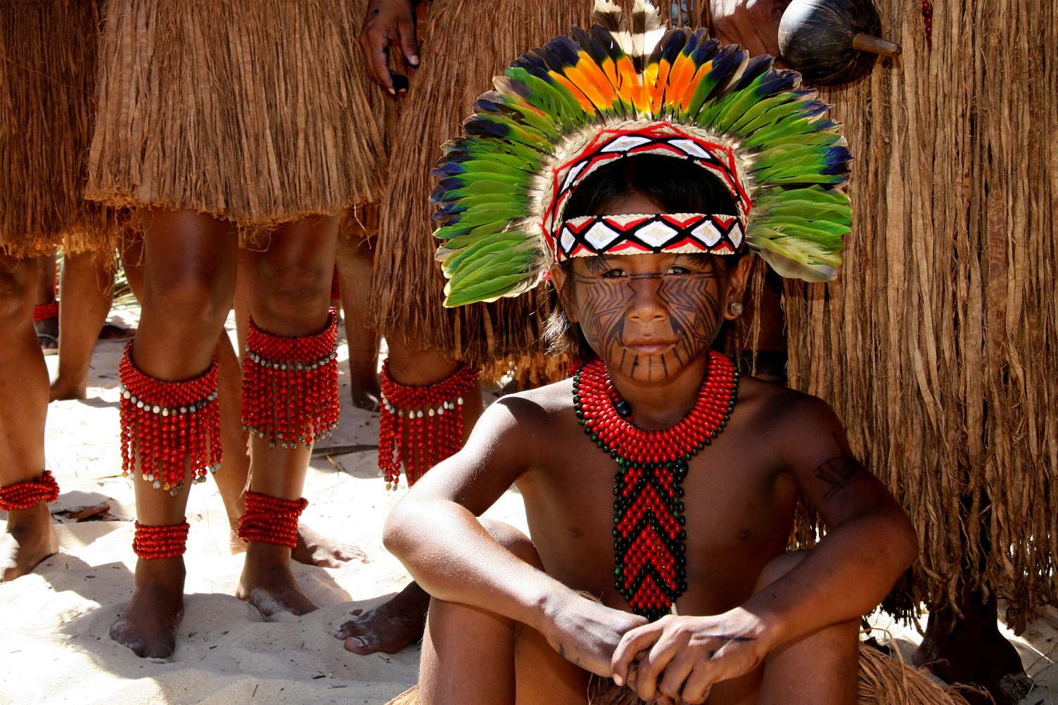 Conheça o estado de Roraima: História, Turismo e Mais | Tribos indígenas | Conexão 123