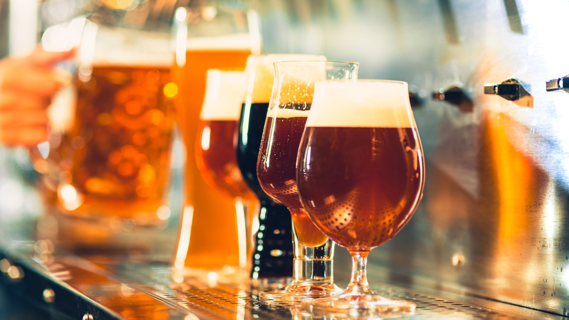 Rota da cerveja: destinos nacionais para celebrar o Dia da Cerveja