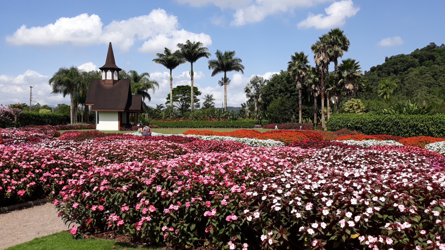 Três lugares no Brasil para visitar durante a primavera