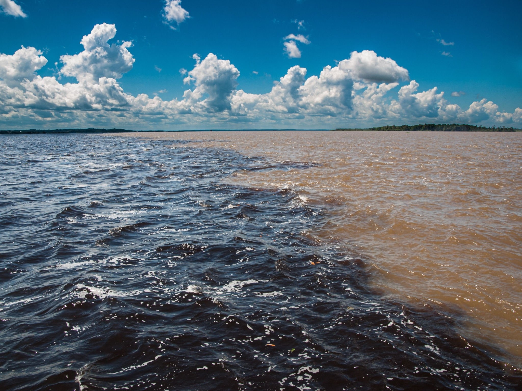 Aniversário de Manaus: conheça a história e curiosidades sobre a capital do Amazonas | Encontro das águas | Conexão123