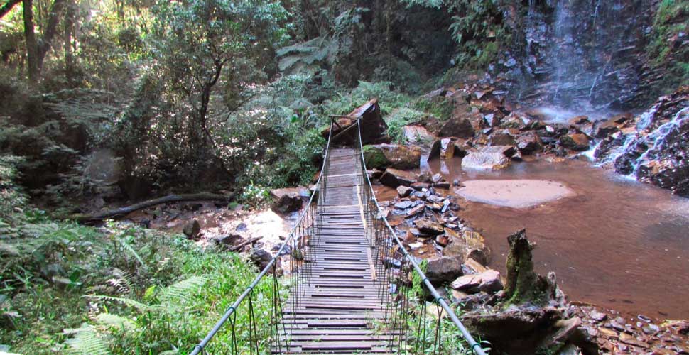 Cachoeiras perto de Curitiba para visitar | Cachoeira Salto Boa Vista | Conexão123