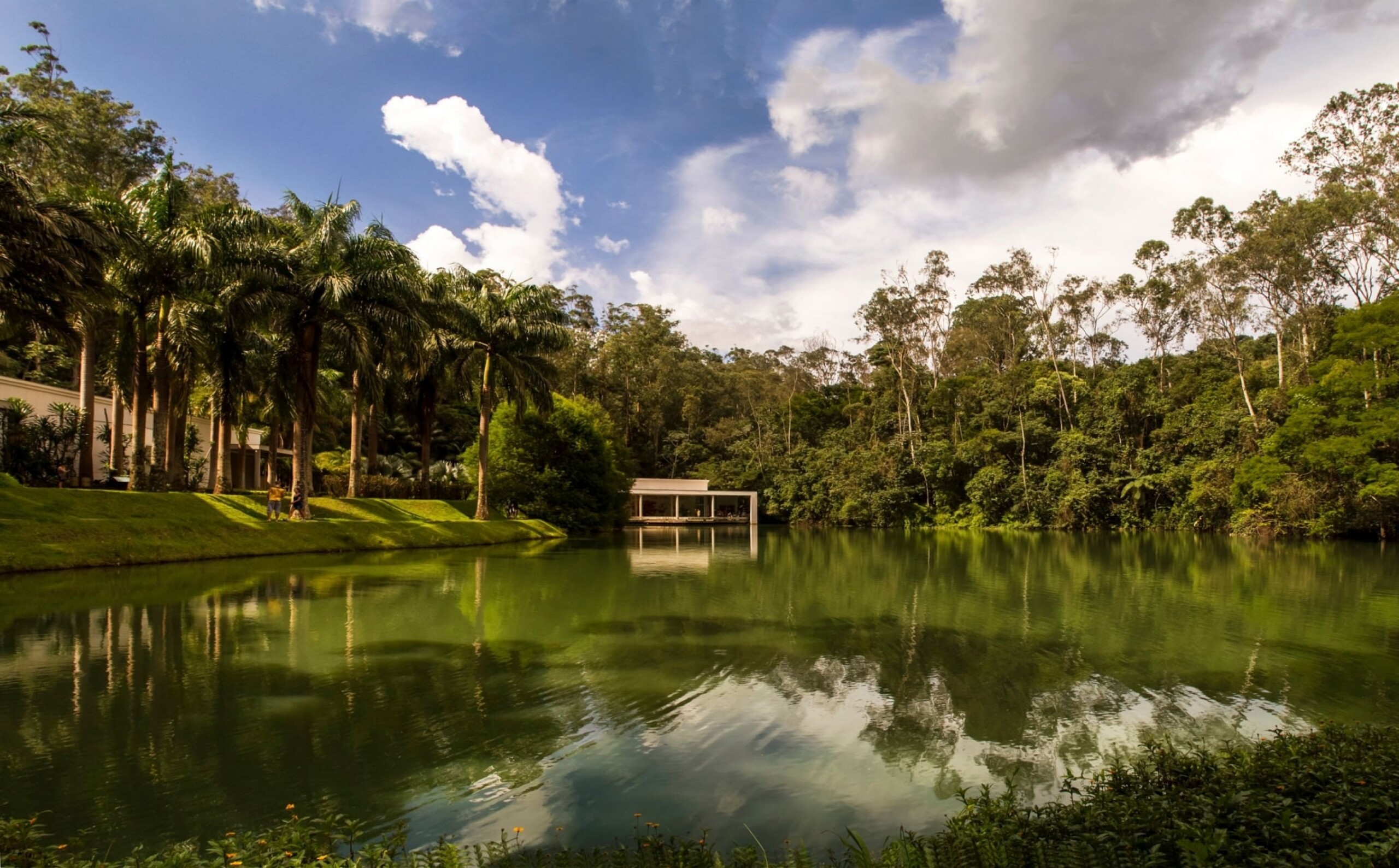Destinos para vivenciar aspectos naturais | Instituto Inhotim em Brumadinho, Minas Gerais | Conexão123