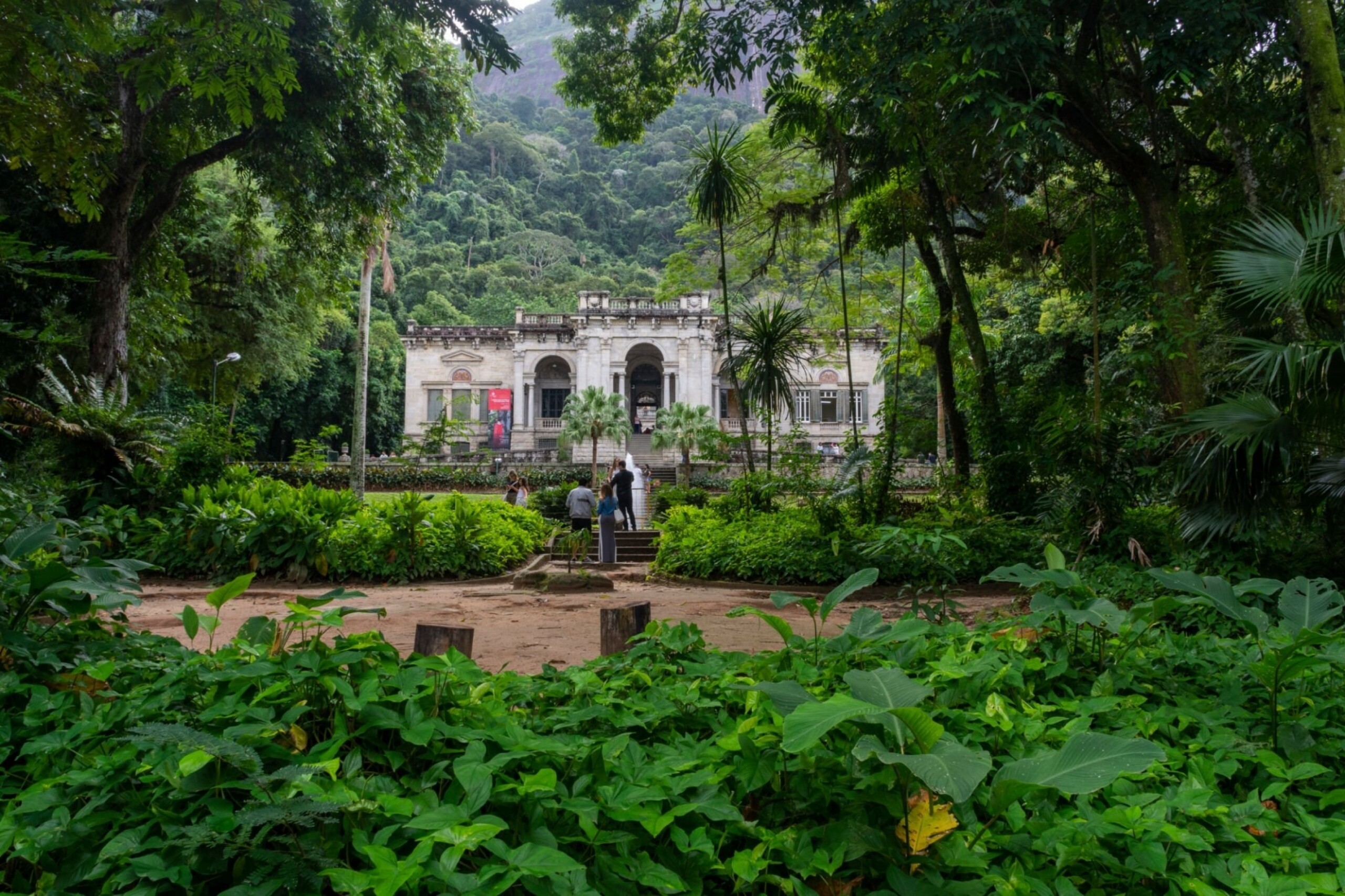 Destinos para vivenciar aspectos naturais | Jardim Botânico do Rio de Janeiro | Conexão123