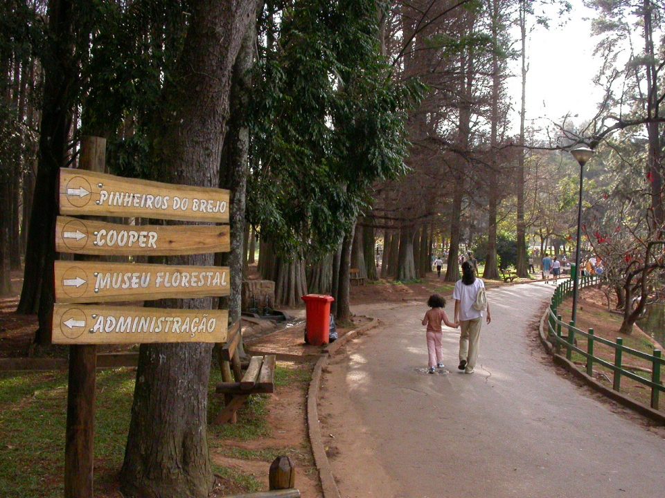 Lugares para ir com crianças em São Paulo: parques urbanos | Museu Florestal | Conexão123