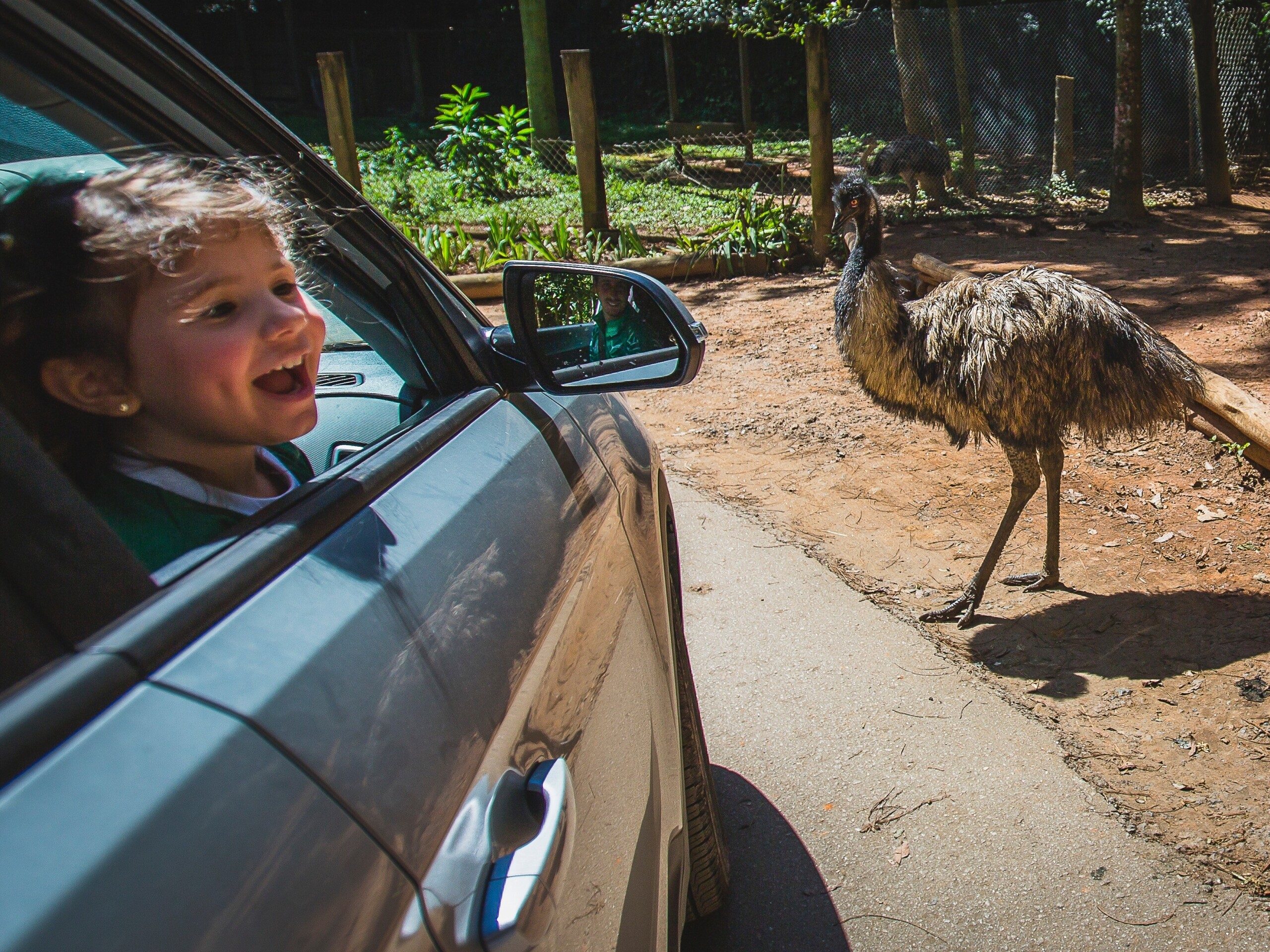 Lugares para ir com crianças em São Paulo: parques urbanos | Zoo Safári | Conexão123