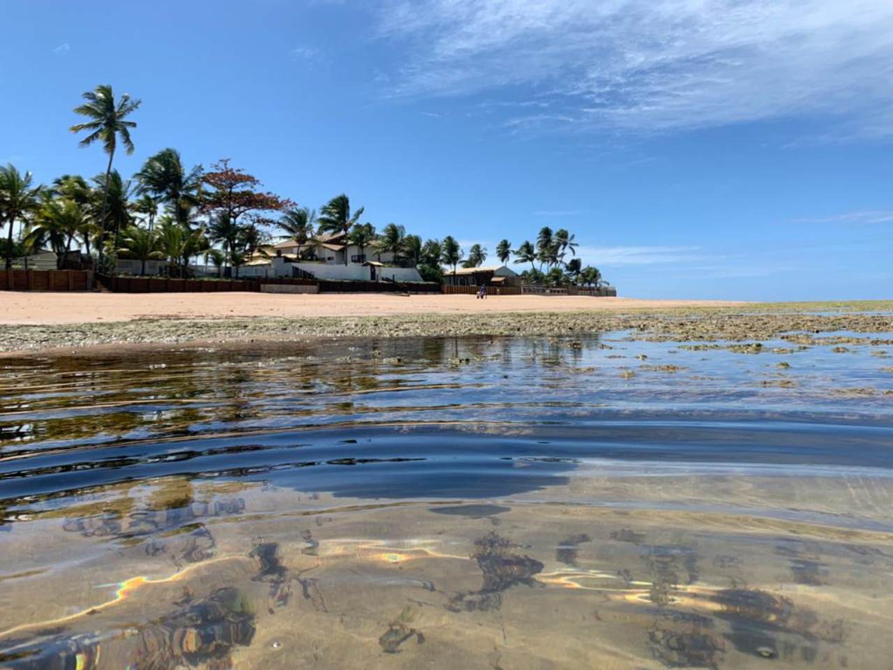 Praias Bandeira Azul: 29 destinos recebem selo de práticas sustentáveis | Vista praia de Itacimirim | Conexão123