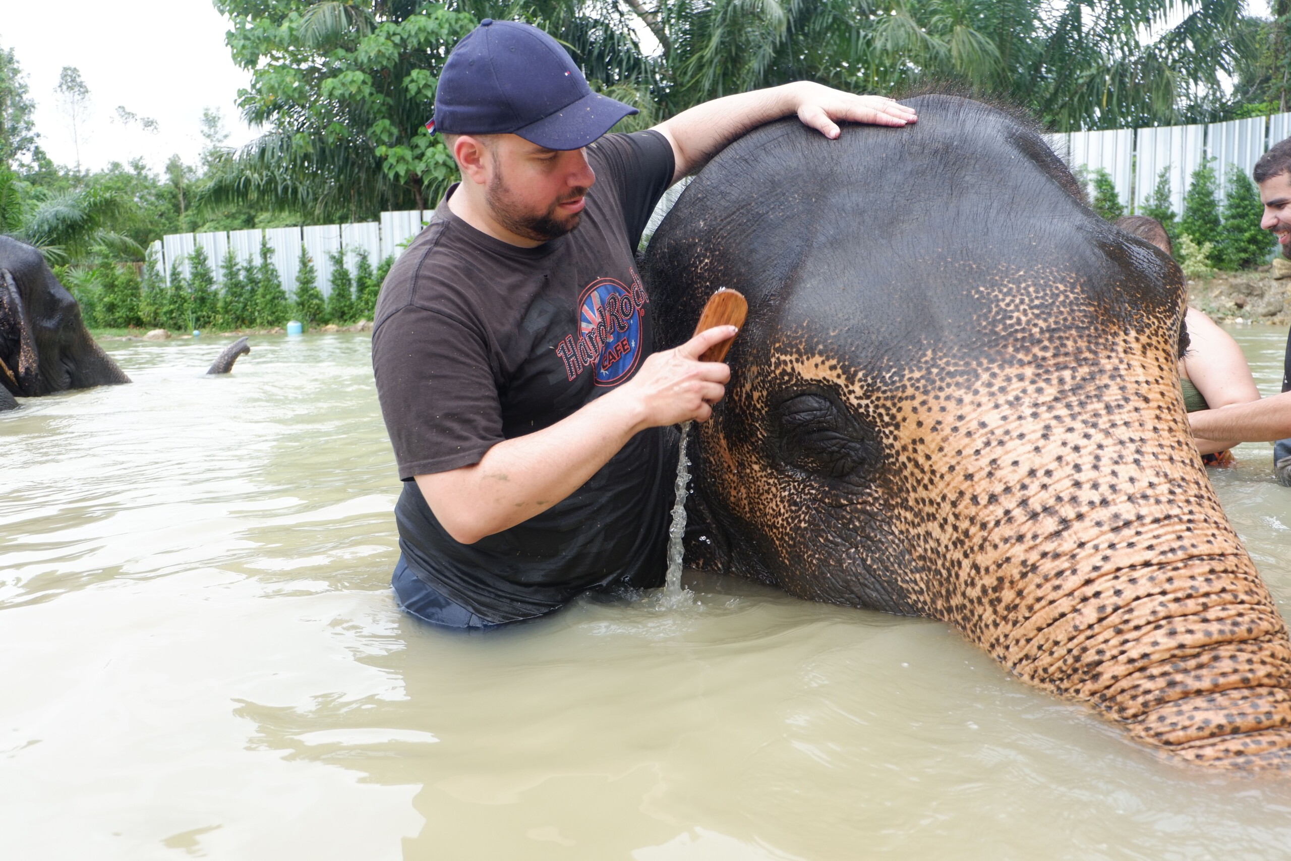 Turismo ecológico na Tailândia: babá de elefante por um dia!