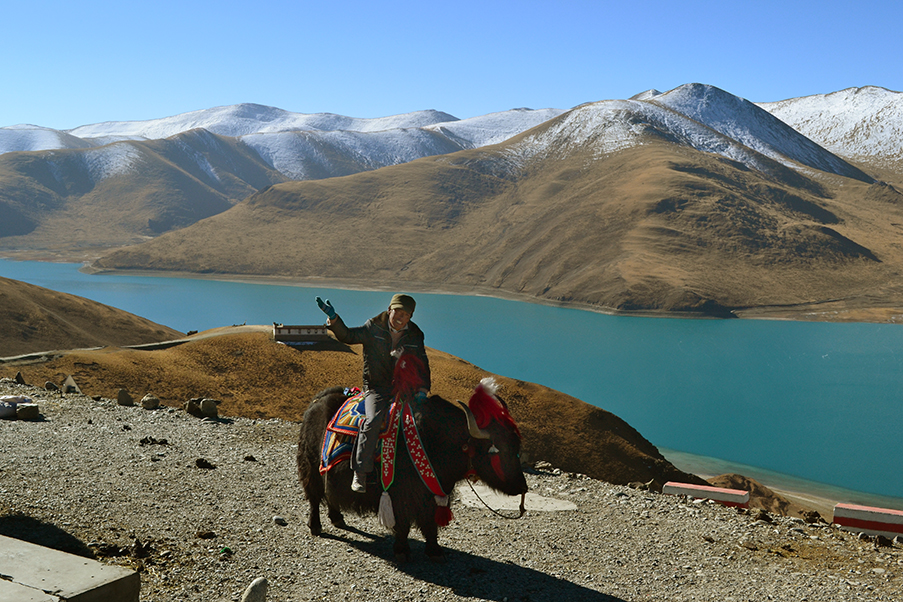 Um tibetano montado em seu Iaque