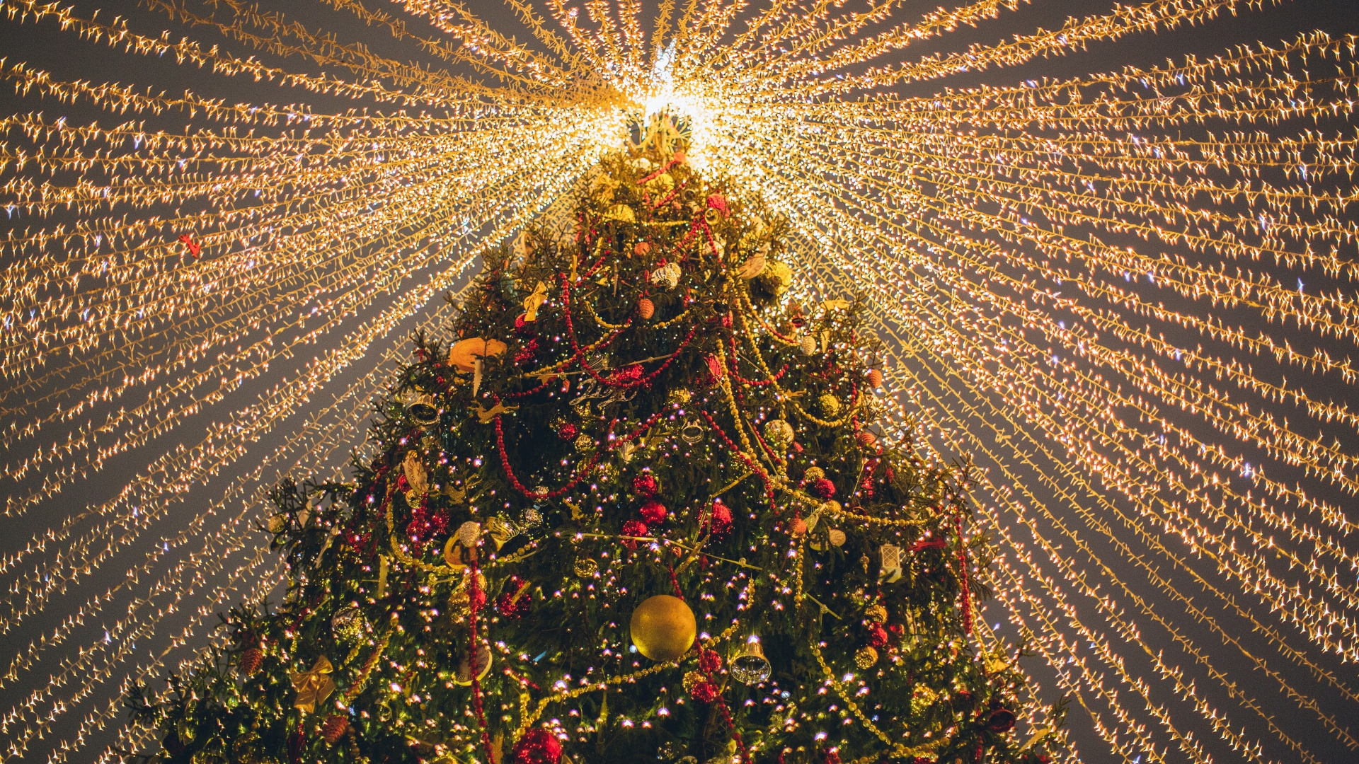 Árvores de Natal no Brasil: conheça as mais famosas