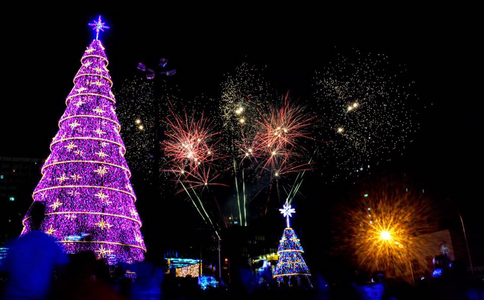 Árvores de Natal no Brasil: Paraná | Árvores de natal na Praça da Paz | Conexão123