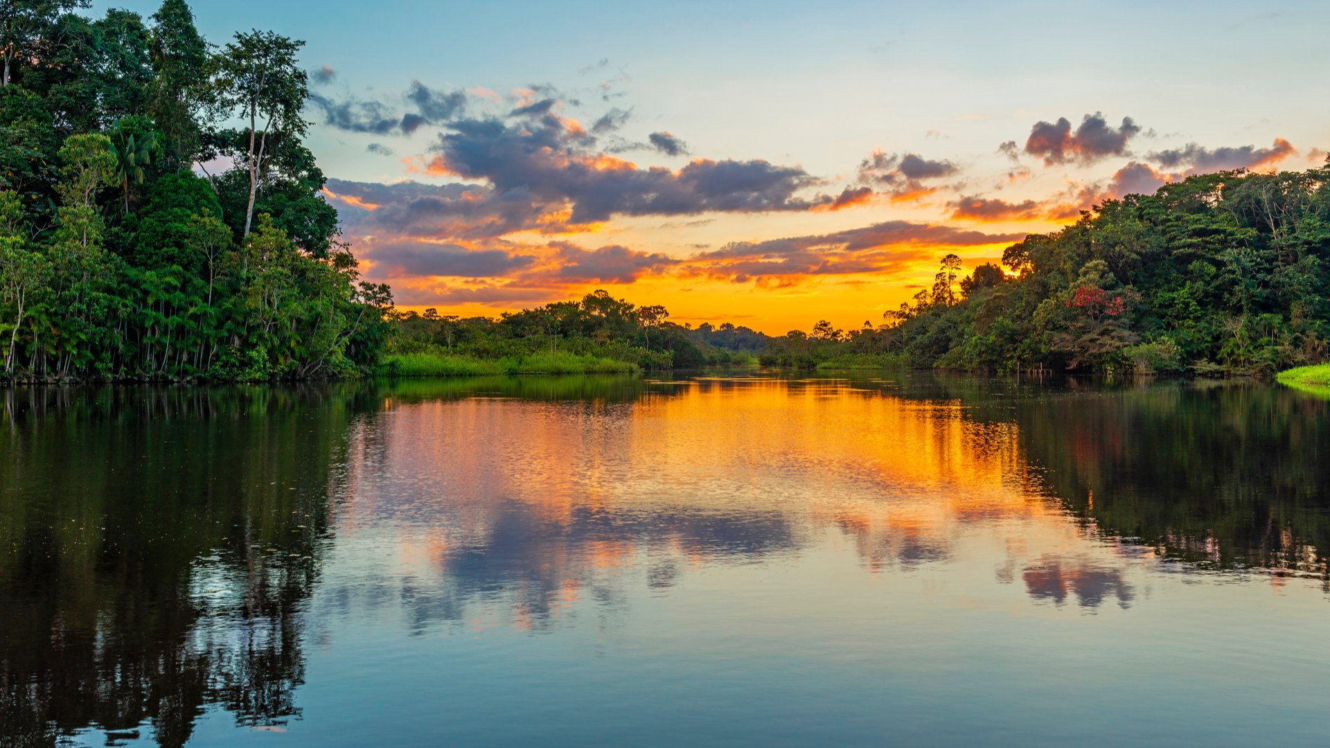 Conheça as 7 maravilhas naturais do mundo | Floresta Amazônica | Conexão123
