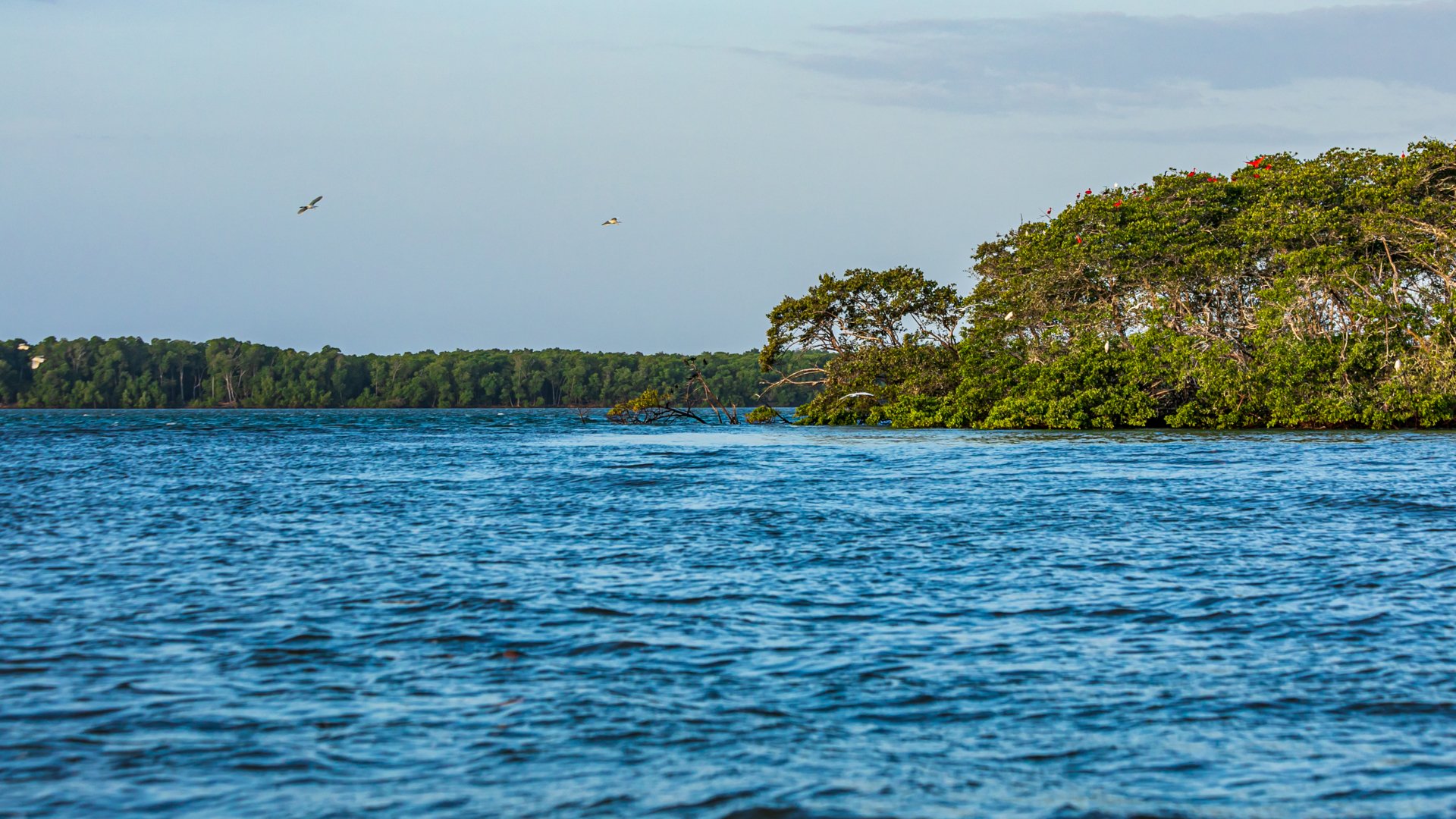 Dia Nacional da Amazônia Azul:as águas marítimas brasileiras | Delta do Parnaíba | Conexão123