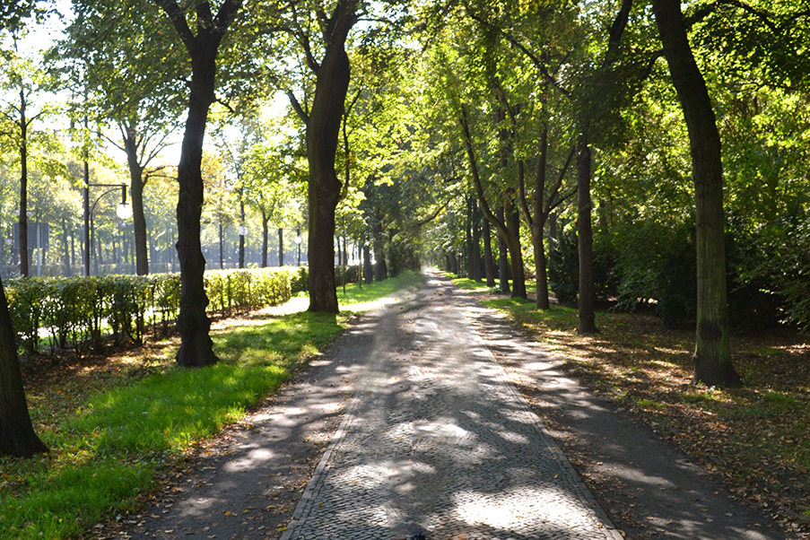 O Parque Tiergarten é considerado o “pulmão de Berlim”.