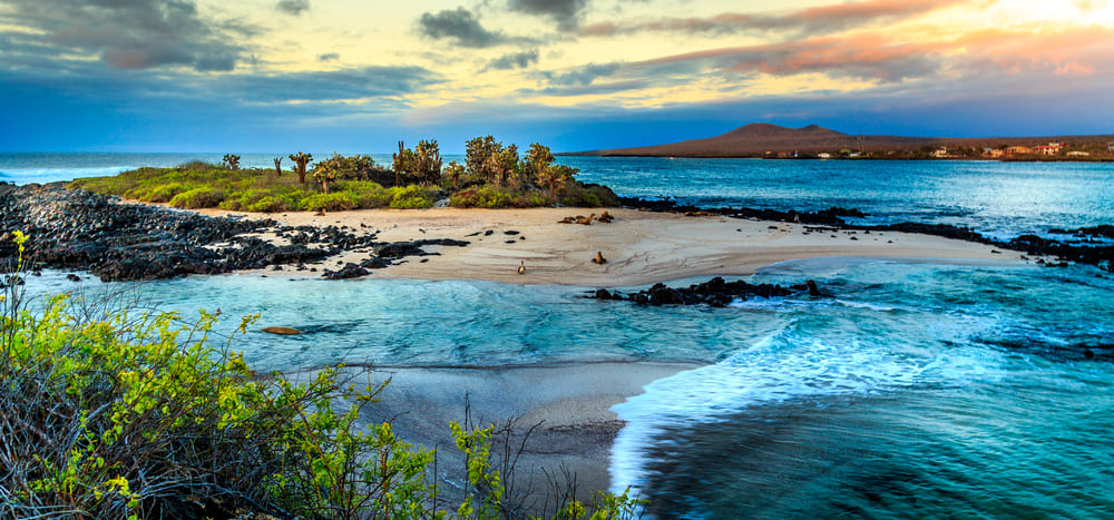 Ilhas Galápagos: conheça o famoso arquipélago do Pacífico