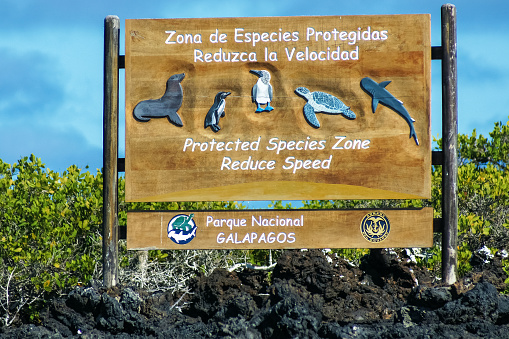 Parque Nacional e reserva marinha de Galápagos | Parque Nacional e reserva marinha de Galápagos | Conexão123