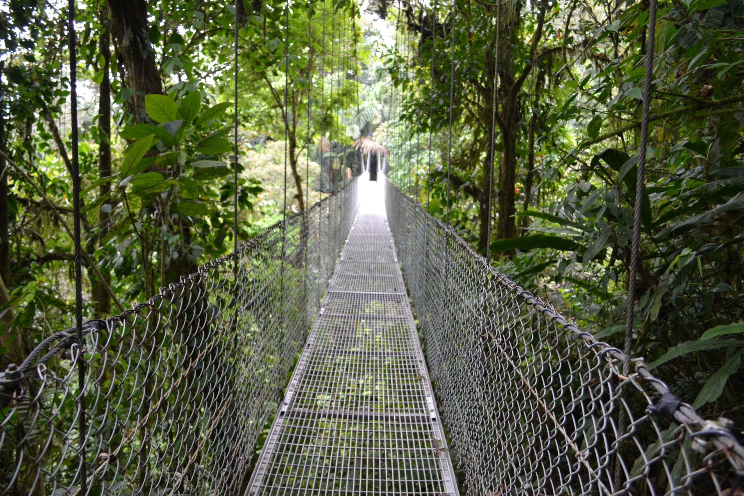 Conheça três destinos internacionais para visitar no Dia do Turismo Ecológico | Ponte suspensa próxima ao vulcão Arenal em Monteverde - Costa Rica | Conexão123