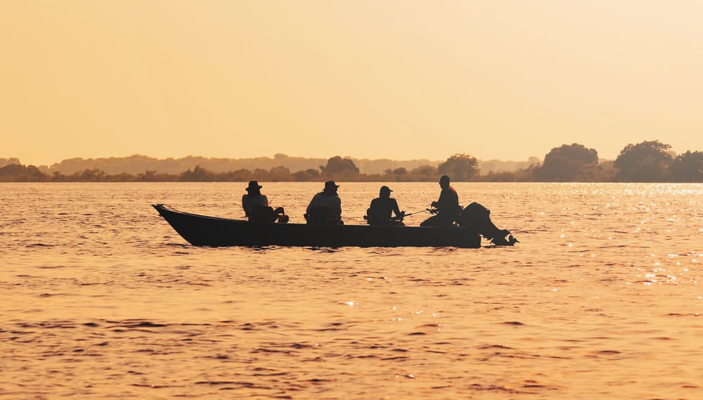 Turismo no Pantanal do Mato Grosso do Sul: guia de viagem | Passeio de barco no Pantanal | Conexão123