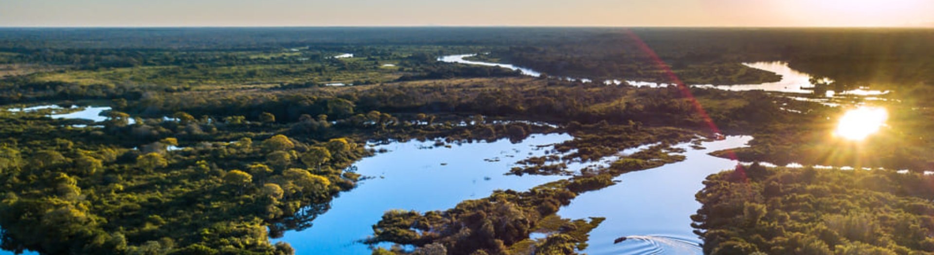 Pantanal do Mato Grosso do Sul