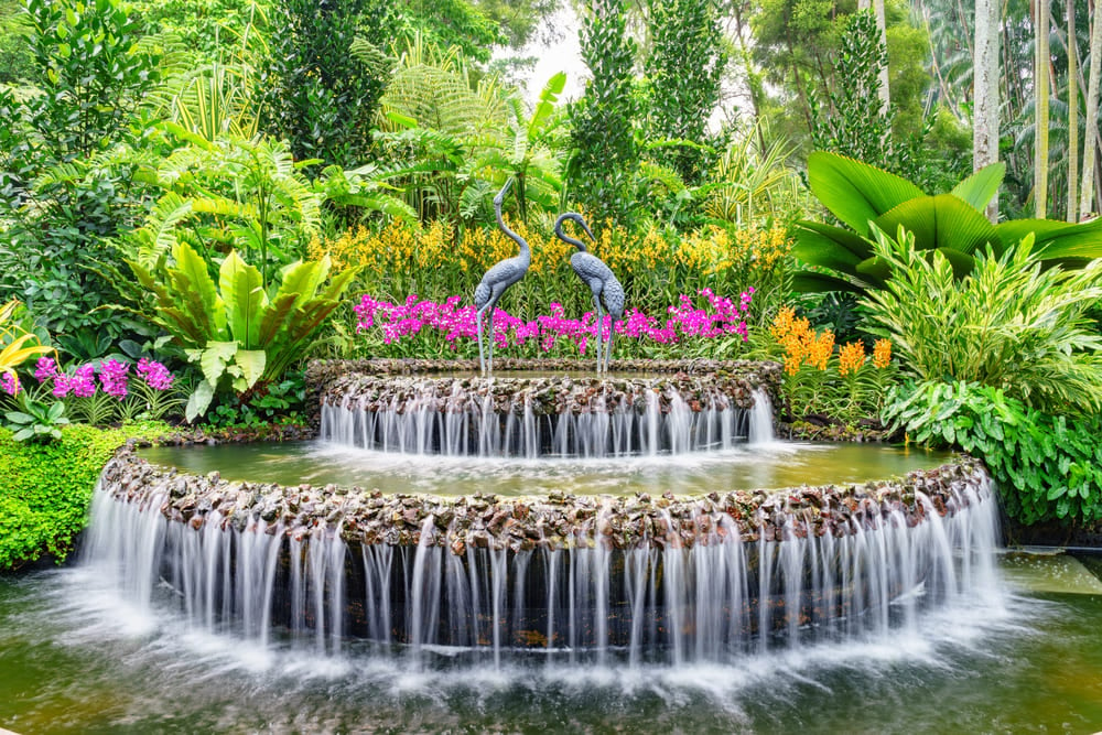 Confira cinco destinos românticos para comemorar o Dia Internacional do Beijo | Caminho envolto pela paisagem do Orquidário no Jardim Botânico de Singapura | Conexão123