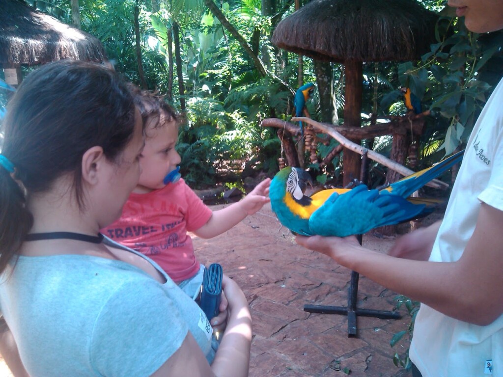 A experiência da viagem de ônibus para Foz do Iguaçu | Criança brinca com arara no Parque das Aves em Foz do Iguaçu | Conexão123