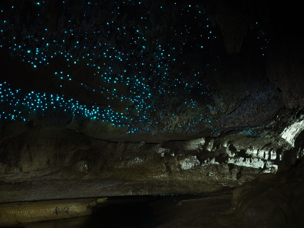 Lugares inusitados para conhecer | Waitomo Cave | Conexão123