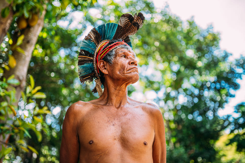 Dia dos Povos Indígenas: conheça museus para celebrar a cultura e a memória dos povos originários