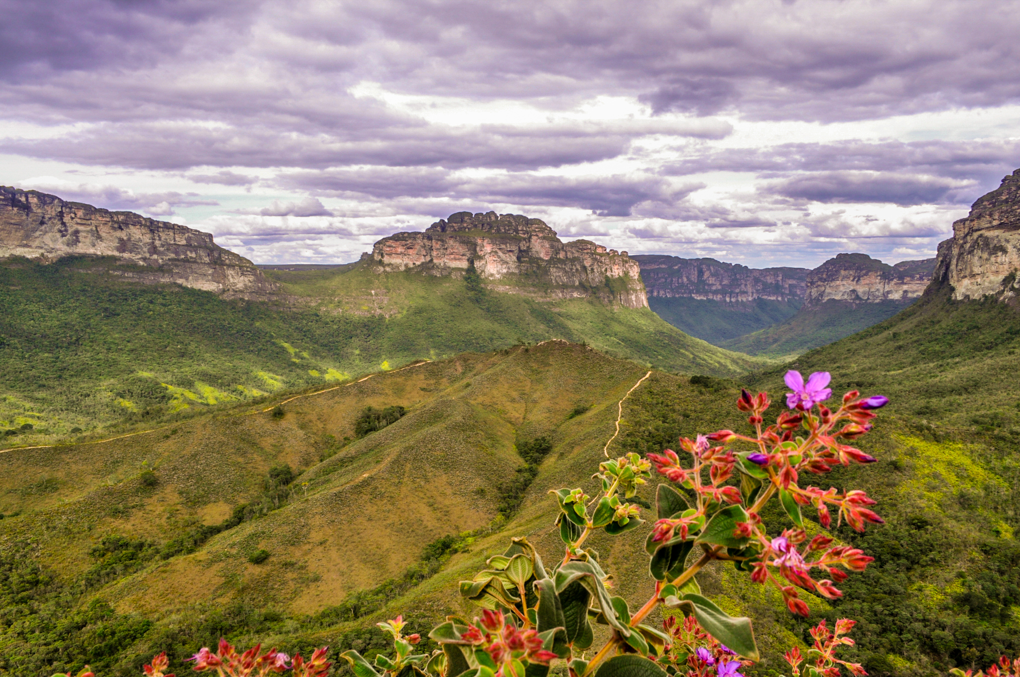 Explore o turismo de montanha no Brasil com o Conexão123 | Trecho da trilha do Vale do Pati na Chapada Diamantina | Conexão123