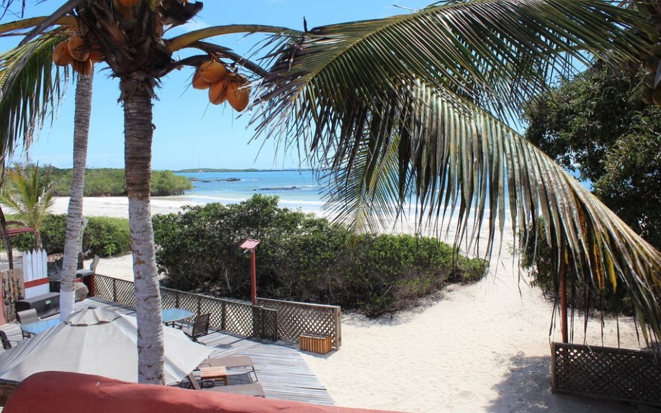 Veja destinos para celebrar o Dia Mundial do Meio Ambiente | Isamar Hotel em Galápagos | Conexão123