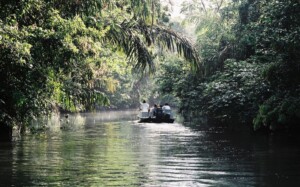 Dia Mundial do Meio Ambiente: pratique o turismo sustentável