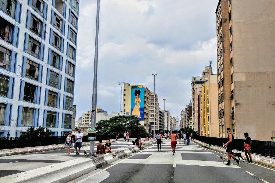 Veja os melhores lugares para passear com pet em São Paulo | Elevado João Goulart | Conexão123